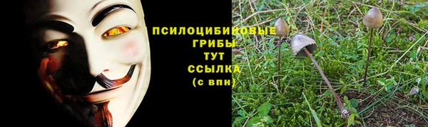 молекула духа Баксан