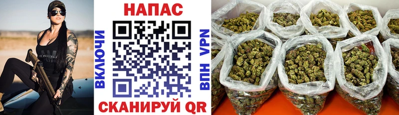 Каннабис индика Слюдянка
